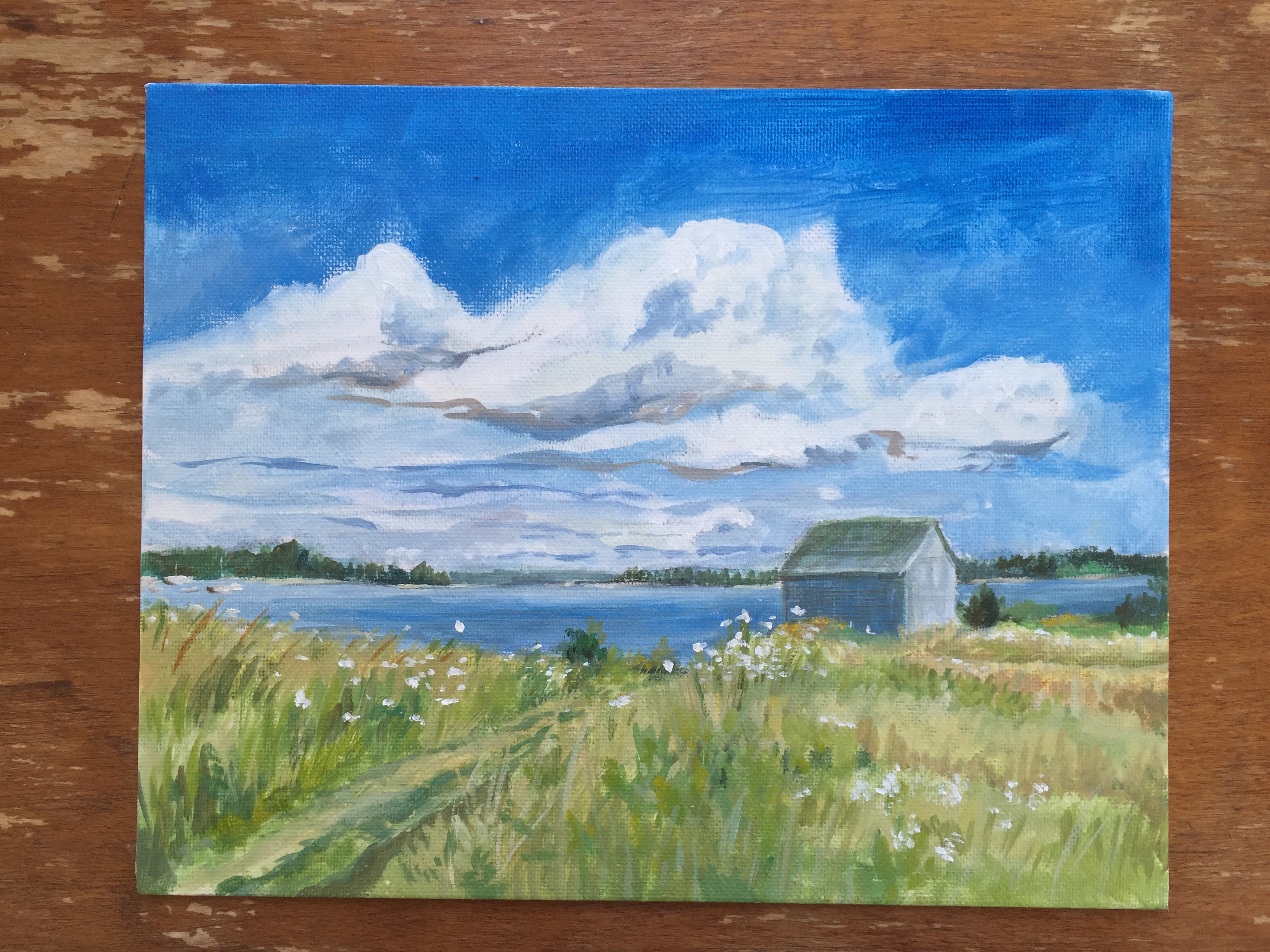 Project 5 description